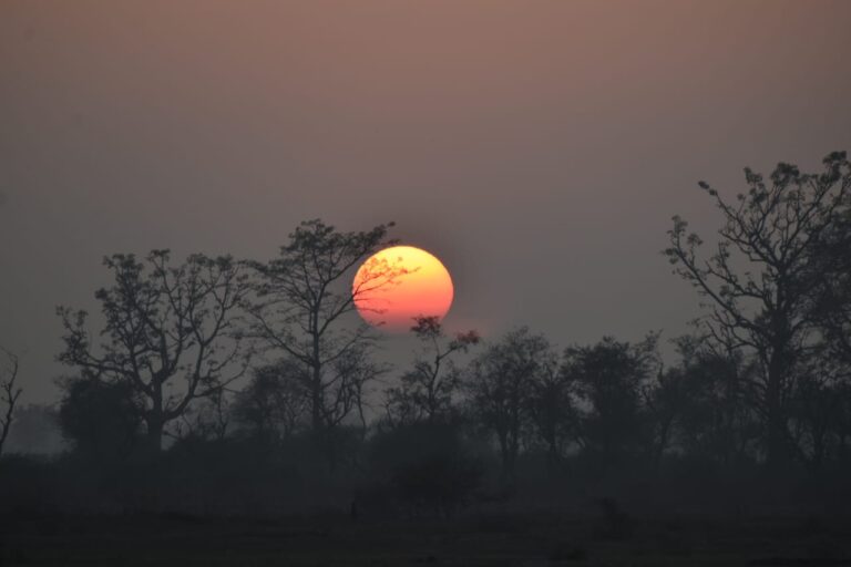 WhatsApp Image 2025-05-27 at 2.58