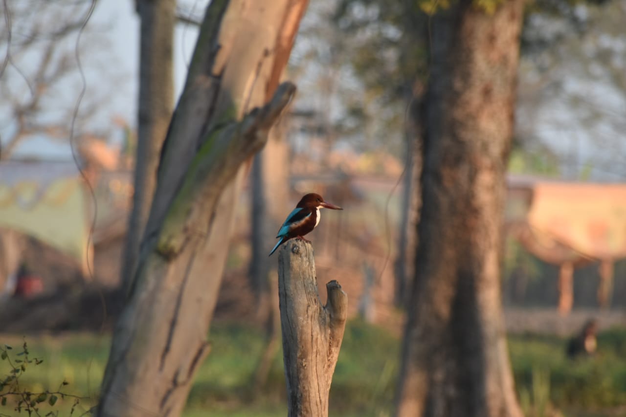 WhatsApp Image 2025-05-27 at 2.58.31 PM (3) (1)