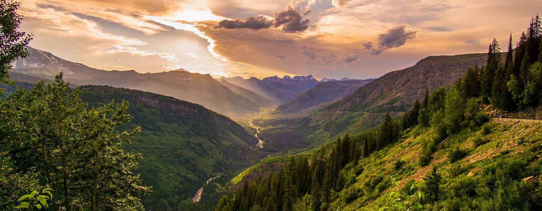 UTDB_media_1735896063kausani__(1)